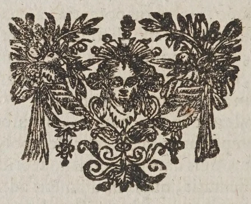 An illustration from Vniversae geometriae, mixtaeqve mathematicae synopsis, et bini refractionvm demonstratarvm tractatvs, 1644, leaf 420