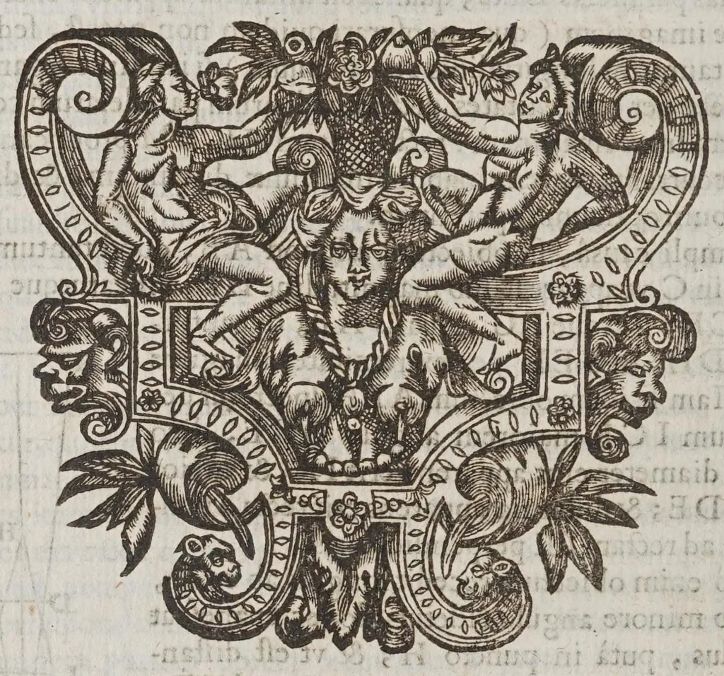 An illustration from Vniversae geometriae, mixtaeqve mathematicae synopsis, et bini refractionvm demonstratarvm tractatvs, 1644, leaf 504