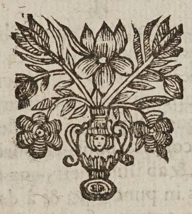 An illustration from Vniversae geometriae, mixtaeqve mathematicae synopsis, et bini refractionvm demonstratarvm tractatvs, 1644, leaf 527