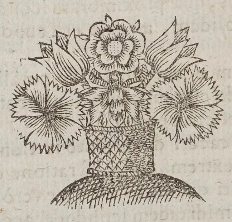 An illustration from Vniversae geometriae, mixtaeqve mathematicae synopsis, et bini refractionvm demonstratarvm tractatvs, 1644, leaf 98