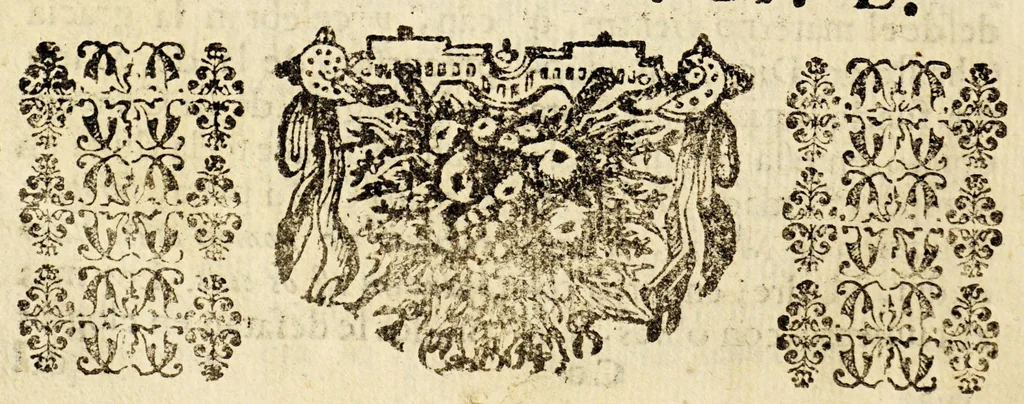 An illustration from Vniversidad florida de horladas voces : diestra capilla de cherubicas, y seraphicas, que celebran devotas la Concepcion Purissima de Maria., 1692, leaf 36