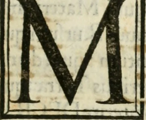An illustration from Voarchadvmia contra alchi'miam : ars distincta ab archimi'a & sophia : cum additionibus, proportionibus, numeris, & figuris opportunis Ioannis Augustini Panthei Veneti sacerdotis, 1530, leaf 120