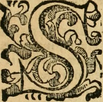 An illustration from Vocabolario toscano dell' arte del disegno : nel quale si esplicano i propri termini e voci, non solo della pittura, scultura & architettura, ma ancora di altre arti a quelle subordinate, e che abbiano per fondamento il disegno : con la notizia de'nomi e qualità delle gioie, metalli, pietre dure, marmi, pietre tenere, sassi, legnami, colori, strumenti, ed ogn'altra materia, che seruir possa, tanto alla costruzione di edificj e loro ornato, quanto alla stessa pittura e scultura, 1681, leaf 162