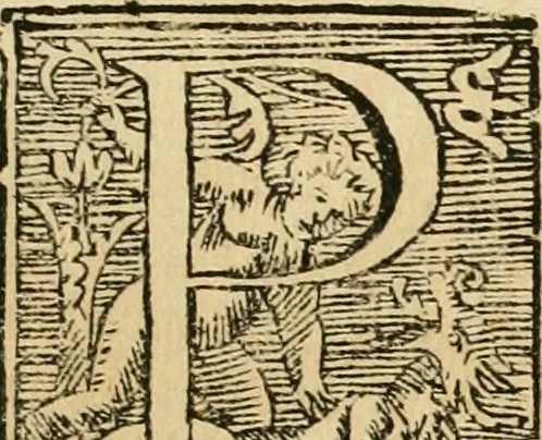 An illustration from Vocabolario toscano dell' arte del disegno : nel quale si esplicano i propri termini e voci, non solo della pittura, scultura & architettura, ma ancora di altre arti a quelle subordinate, e che abbiano per fondamento il disegno : con la notizia de'nomi e qualità delle gioie, metalli, pietre dure, marmi, pietre tenere, sassi, legnami, colori, strumenti, ed ogn'altra materia, che seruir possa, tanto alla costruzione di edificj e loro ornato, quanto alla stessa pittura e scultura, 1681, leaf 20