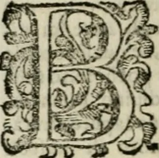 An illustration from Vocabolario toscano dell' arte del disegno : nel quale si esplicano i propri termini e voci, non solo della pittura, scultura & architettura, ma ancora di altre arti a quelle subordinate, e che abbiano per fondamento il disegno : con la notizia de'nomi e qualità delle gioie, metalli, pietre dure, marmi, pietre tenere, sassi, legnami, colori, strumenti, ed ogn'altra materia, che seruir possa, tanto alla costruzione di edificj e loro ornato, quanto alla stessa pittura e scultura, 1681, leaf 41