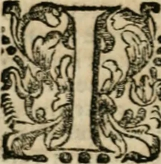 An illustration from Vocabolario toscano dell' arte del disegno : nel quale si esplicano i propri termini e voci, non solo della pittura, scultura & architettura, ma ancora di altre arti a quelle subordinate, e che abbiano per fondamento il disegno : con la notizia de'nomi e qualità delle gioie, metalli, pietre dure, marmi, pietre tenere, sassi, legnami, colori, strumenti, ed ogn'altra materia, che seruir possa, tanto alla costruzione di edificj e loro ornato, quanto alla stessa pittura e scultura, 1681, leaf 95