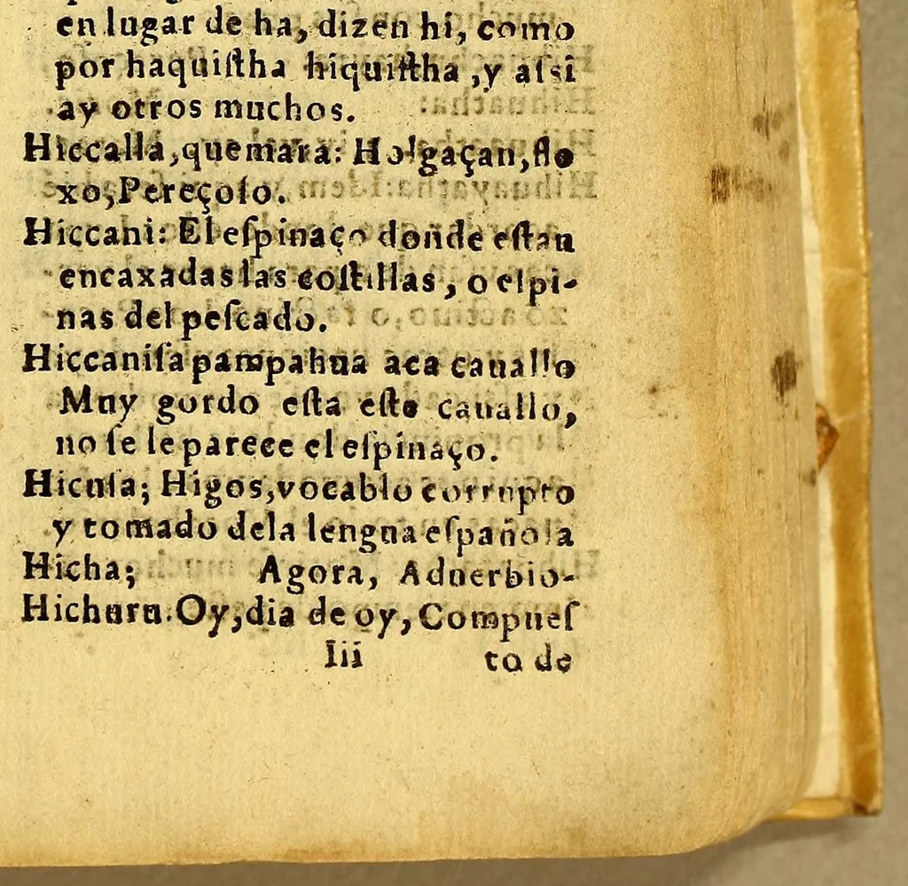 An illustration from Vocabulario de la lengua aymara. Primera parte, : donde por abecedario se ponen en primer lugar los vocablos de la lengua española para buscar los que les corresponden enla lengua aymara. Compuesto por el P. Ludouico Bertonio .italiano dela Compañia de Iesus enla Prouincia del Piru, delas Indias Occidentales, natural de la Roca contrada dela Marca de Ancona., 1612, leaf 633