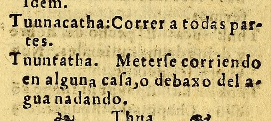 An illustration from Vocabulario de la lengua aymara. Primera parte, : donde por abecedario se ponen en primer lugar los vocablos de la lengua española para buscar los que les corresponden enla lengua aymara. Compuesto por el P. Ludouico Bertonio .italiano dela Compañia de Iesus enla Prouincia del Piru, delas Indias Occidentales, natural de la Roca contrada dela Marca de Ancona., 1612, leaf 871