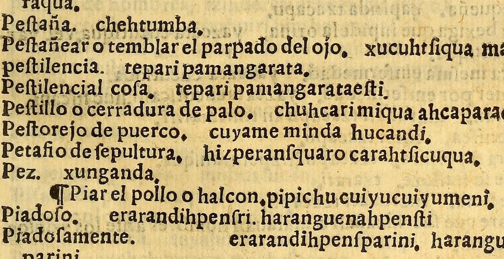 An illustration from Vocabulario en lengua de Mechuacan, 1559, leaf 457