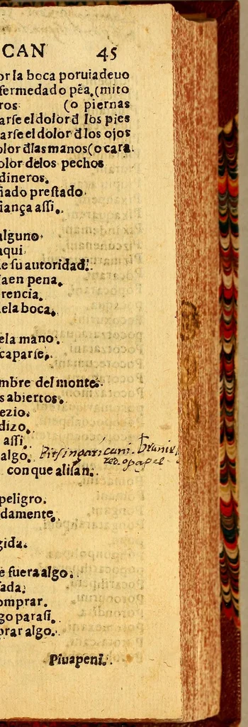 An illustration from Vocabulario en lengua de Mechuacan, 1559, leaf 93