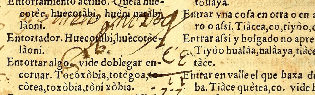 An illustration from Vocabulario en lengua çapoteca,, 1578, leaf 352