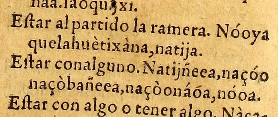 An illustration from Vocabulario en lengua çapoteca,, 1578, leaf 381