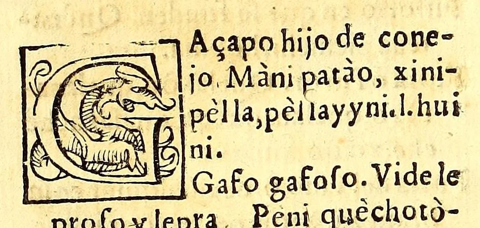 An illustration from Vocabulario en lengua çapoteca,, 1578, leaf 408
