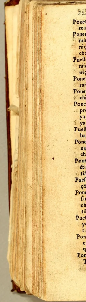 An illustration from Vocabulario en lengua çapoteca,, 1578, leaf 644