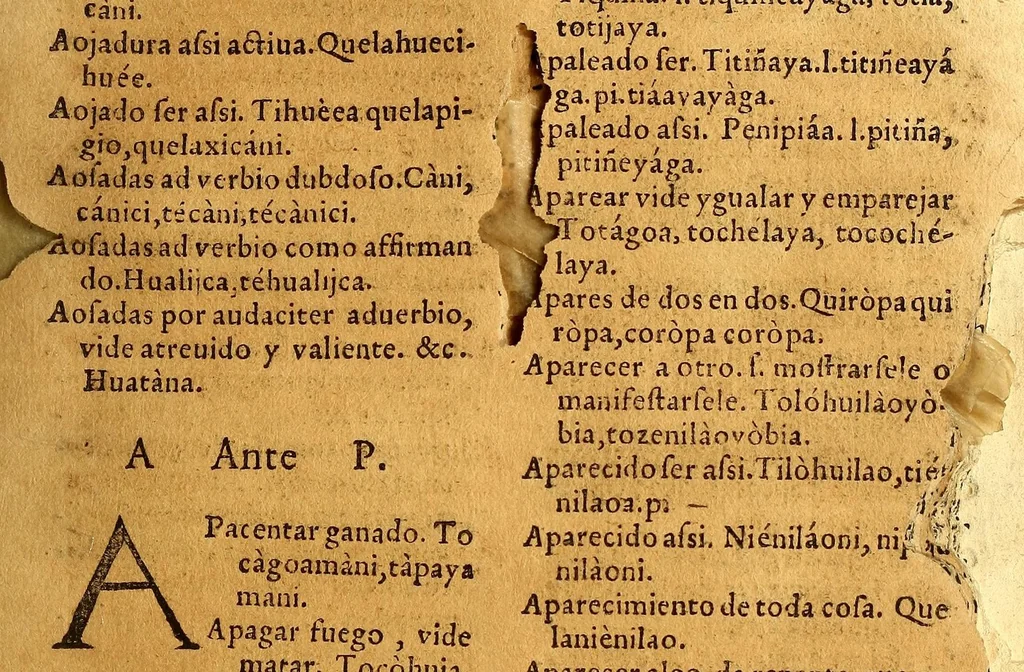 An illustration from Vocabulario en lengua çapoteca,, 1578, leaf 67