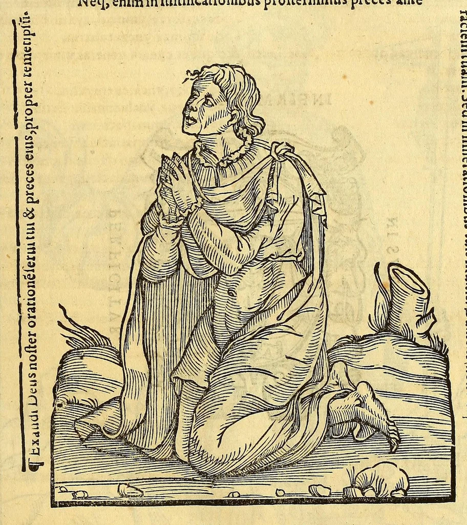 An illustration from Vocabulario en lengua castellana y mexicana,, 1571, leaf 255