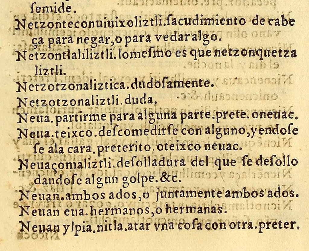 An illustration from Vocabulario en lengua castellana y mexicana,, 1571, leaf 401