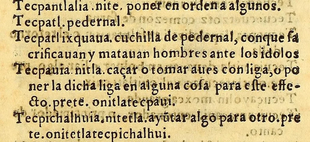 An illustration from Vocabulario en lengua castellana y mexicana,, 1571, leaf 445