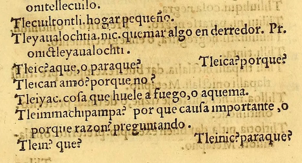 An illustration from Vocabulario en lengua castellana y mexicana,, 1571, leaf 553
