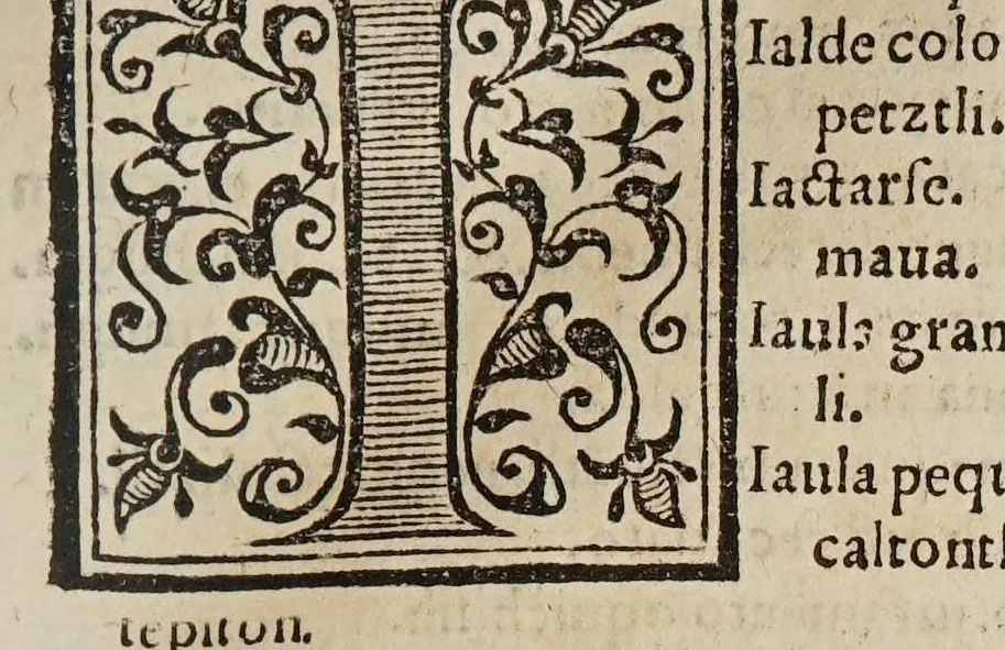 An illustration from Vocabulario en lengua castellana y mexicana, 1571, leaf 159