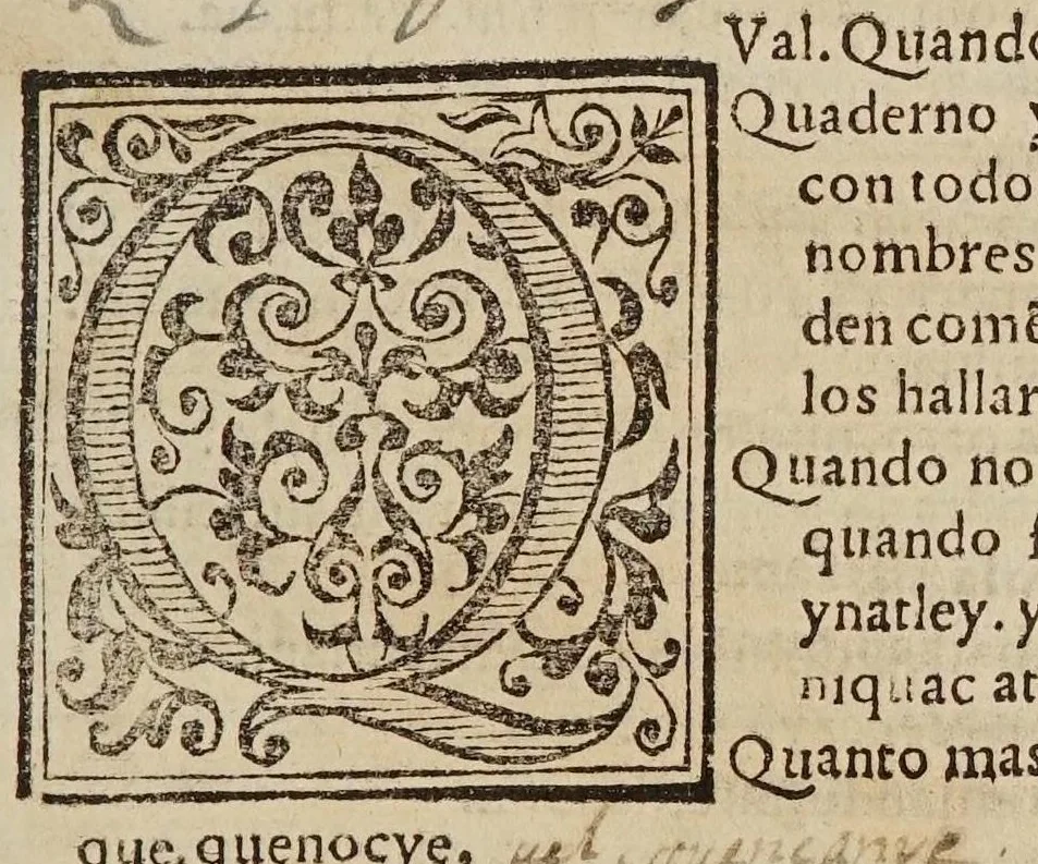 An illustration from Vocabulario en lengua castellana y mexicana, 1571, leaf 213