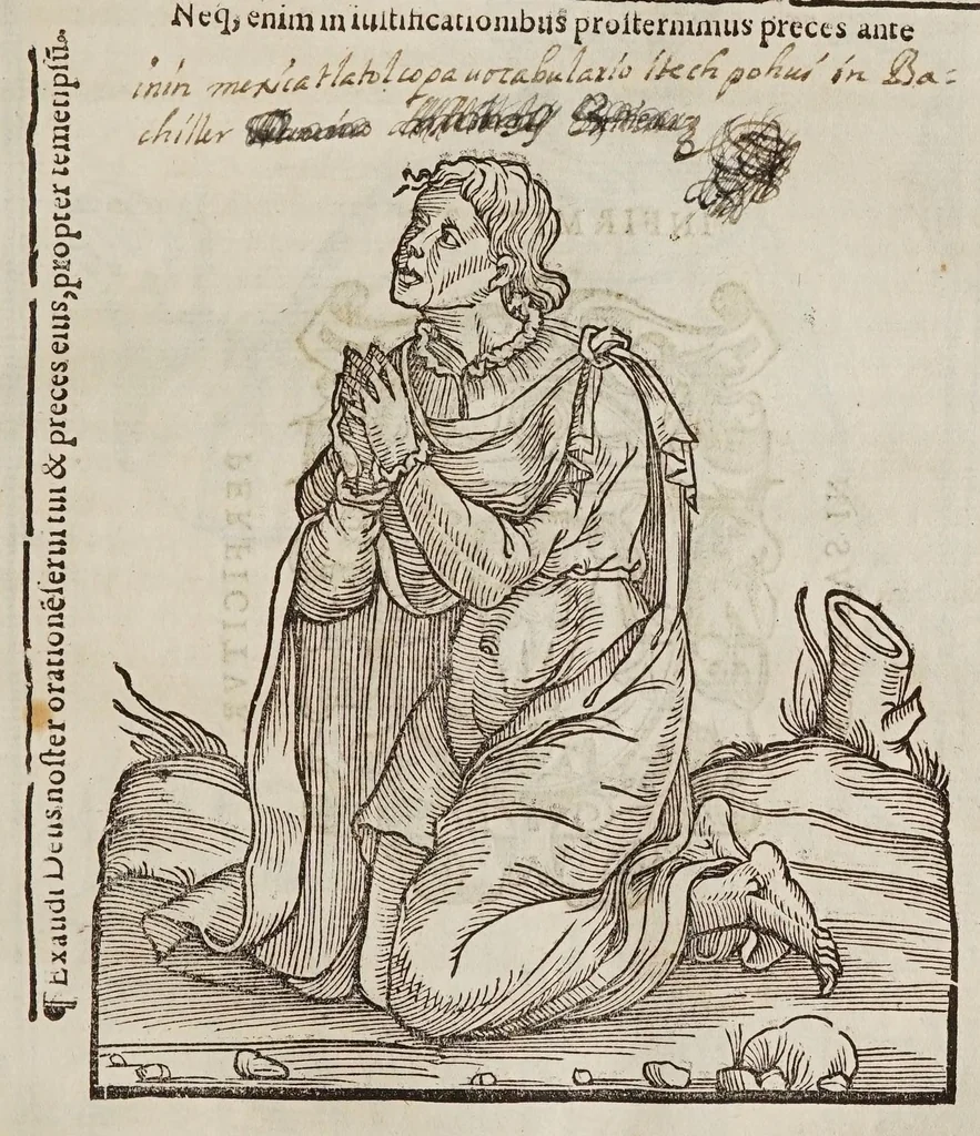 An illustration from Vocabulario en lengua castellana y mexicana, 1571, leaf 257