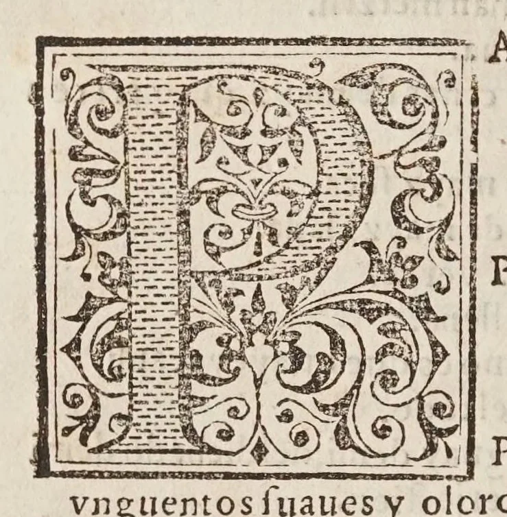 An illustration from Vocabulario en lengua castellana y mexicana, 1571, leaf 418