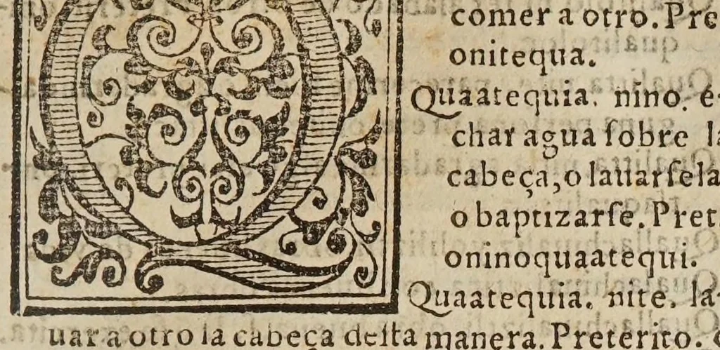 An illustration from Vocabulario en lengua castellana y mexicana, 1571, leaf 429