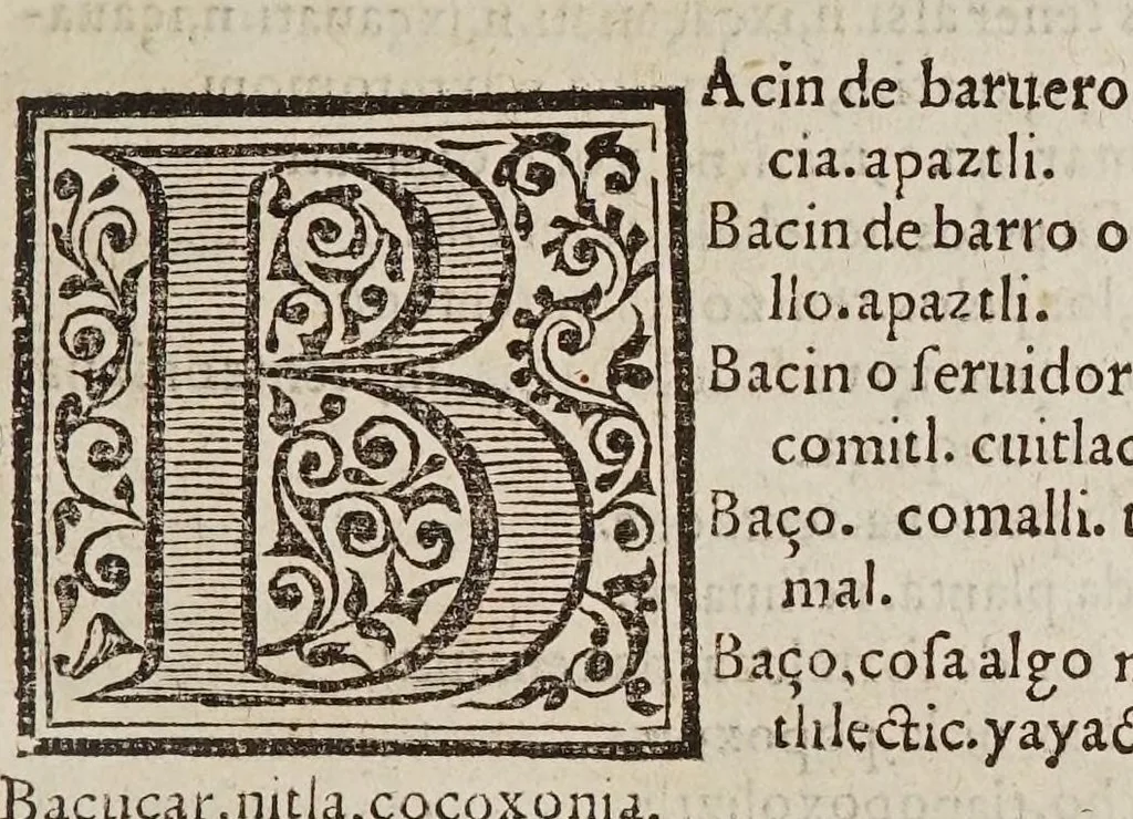 An illustration from Vocabulario en lengua castellana y mexicana, 1571, leaf 49