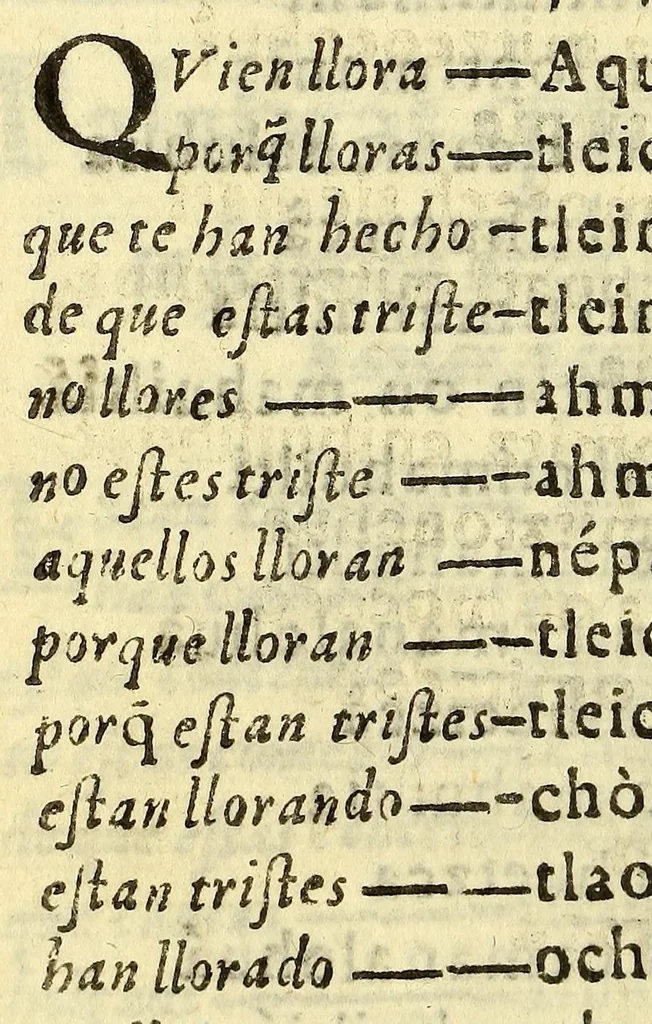 An illustration from Vocabulario manual de las lenguas castellana, y mexicana. : En que se contienen las palabras, preguntas, y respuestas mas co[m]munes, y ordinarias que se suelen offrecer en el trato, y communicacion entre Españoles, é Indios., 1611, leaf 114