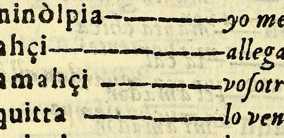 An illustration from Vocabulario manual de las lenguas castellana, y mexicana. : En que se contienen las palabras, preguntas, y respuestas mas co[m]munes, y ordinarias que se suelen offrecer en el trato, y communicacion entre Españoles, é Indios., 1611, leaf 156