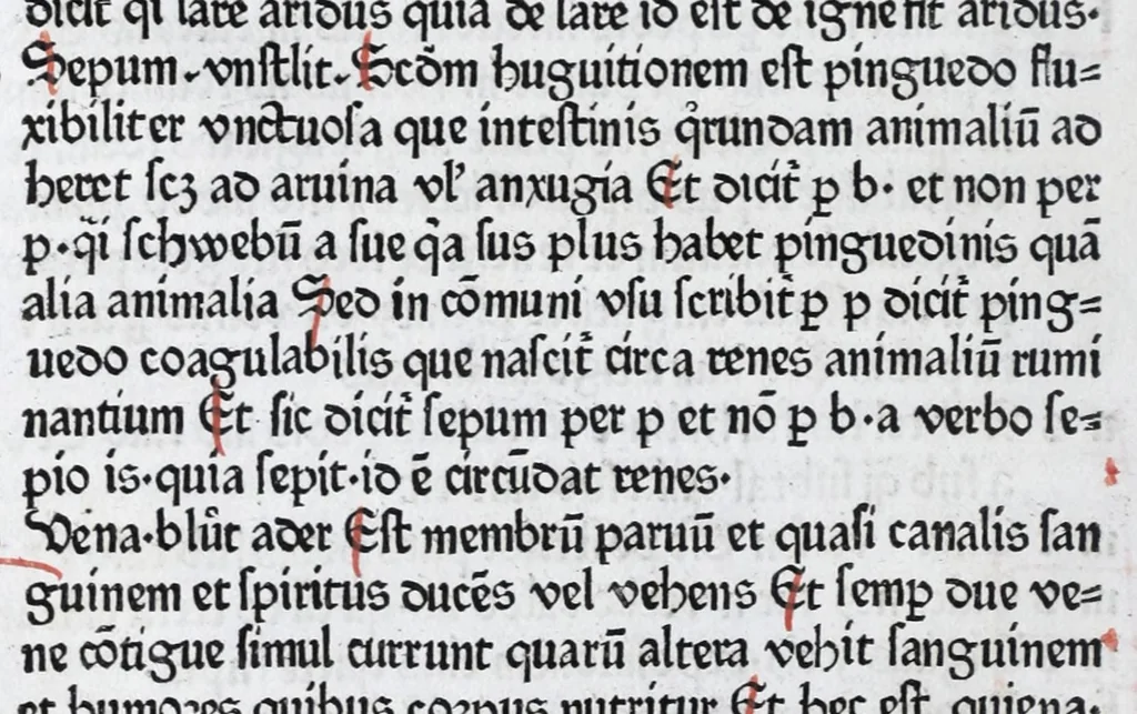 An illustration from Vocabularius rerum, leaf 38