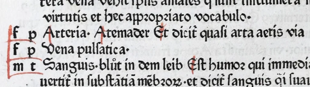 An illustration from Vocabularius rerum, leaf 38
