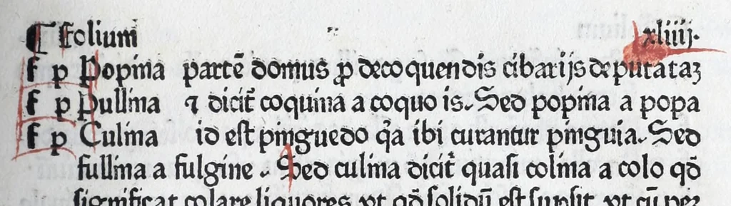 An illustration from Vocabularius rerum, leaf 95
