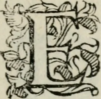 An illustration from Vocabularo de las dos lenguas toscana y castellana, 1587, leaf 18