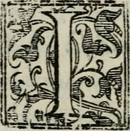 An illustration from Vocabularo de las dos lenguas toscana y castellana, 1587, leaf 9