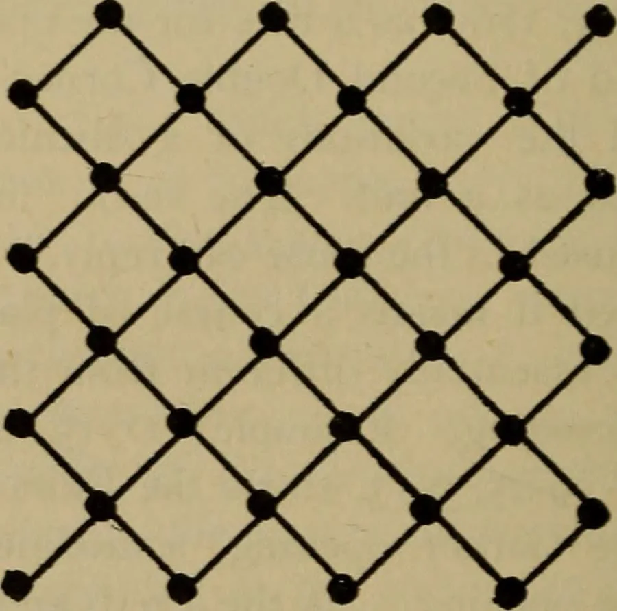 An illustration from Vocabulary of checkers; a dictionary of words, terms and phrases used in the game called checkers, or English draughts, 1909, leaf 109