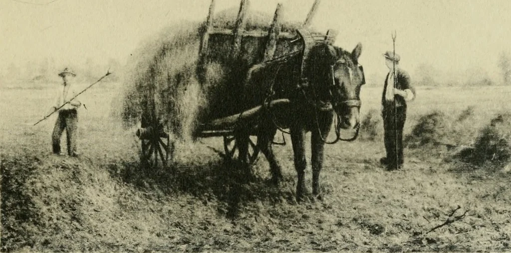 An illustration from Volharding 1905, 1905, leaf 12