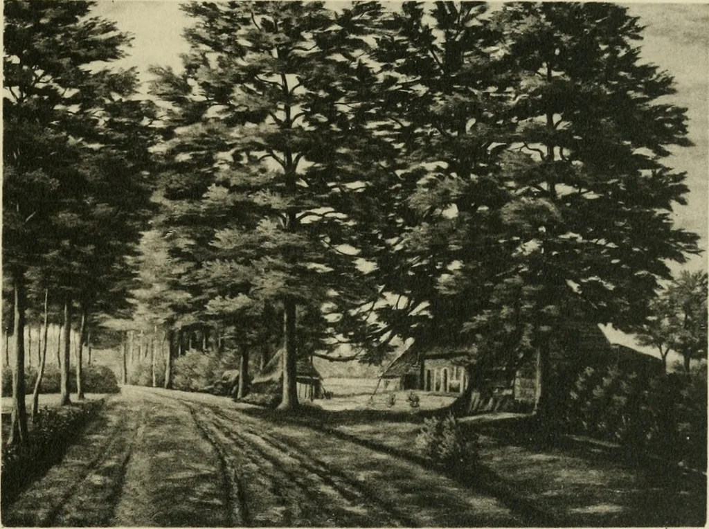 An illustration from Volharding 1905, 1905, leaf 26