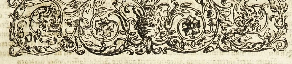 An illustration from Vollkommener ergäntzter Pferdt-Schatz : ausz reiffer Erwegung der Natur, Vernunfft und offtmahligen Erfahrung entstanden ... : Alles in Gestalt einer ausführlichen leicht verständlichen und begreifflichen Theoria und auff dieselbe gegründete Praxis verfasset .., 1664, leaf 17