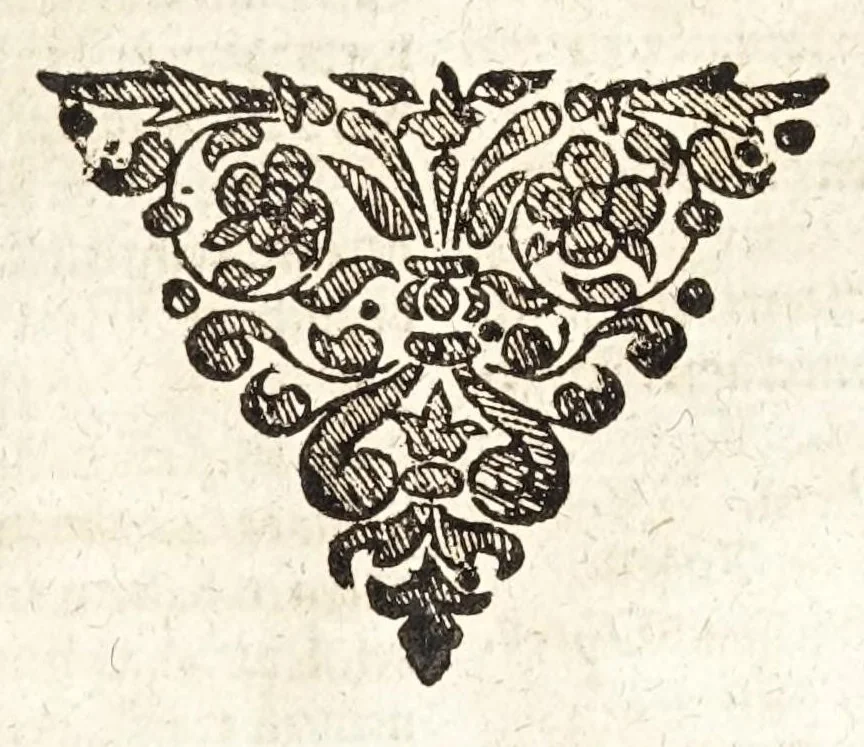 An illustration from Vollkommener ergäntzter Pferdt-Schatz : ausz reiffer Erwegung der Natur, Vernunfft und offtmahligen Erfahrung entstanden ... : Alles in Gestalt einer ausführlichen leicht verständlichen und begreifflichen Theoria und auff dieselbe gegründete Praxis verfasset .., 1664, leaf 177