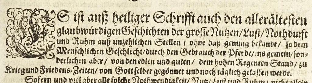 An illustration from Vollkommener ergäntzter Pferdt-Schatz : ausz reiffer Erwegung der Natur, Vernunfft und offtmahligen Erfahrung entstanden ... : Alles in Gestalt einer ausführlichen leicht verständlichen und begreifflichen Theoria und auff dieselbe gegründete Praxis verfasset .., 1664, leaf 49