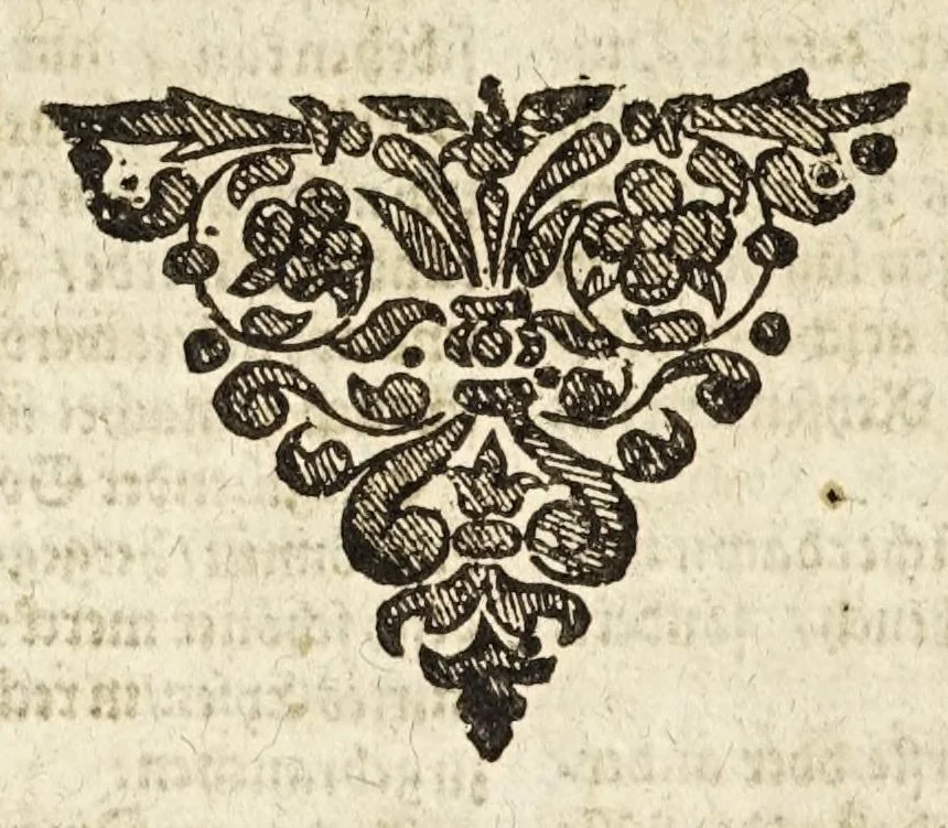 An illustration from Vollkommener ergäntzter Pferdt-Schatz : ausz reiffer Erwegung der Natur, Vernunfft und offtmahligen Erfahrung entstanden ... : Alles in Gestalt einer ausführlichen leicht verständlichen und begreifflichen Theoria und auff dieselbe gegründete Praxis verfasset .., 1664, leaf 60