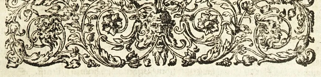 An illustration from Vollkommener ergäntzter Pferdt-Schatz : ausz reiffer Erwegung der Natur, Vernunfft und offtmahligen Erfahrung entstanden ... : Alles in Gestalt einer ausführlichen leicht verständlichen und begreifflichen Theoria und auff dieselbe gegründete Praxis verfasset .., 1664, leaf 63