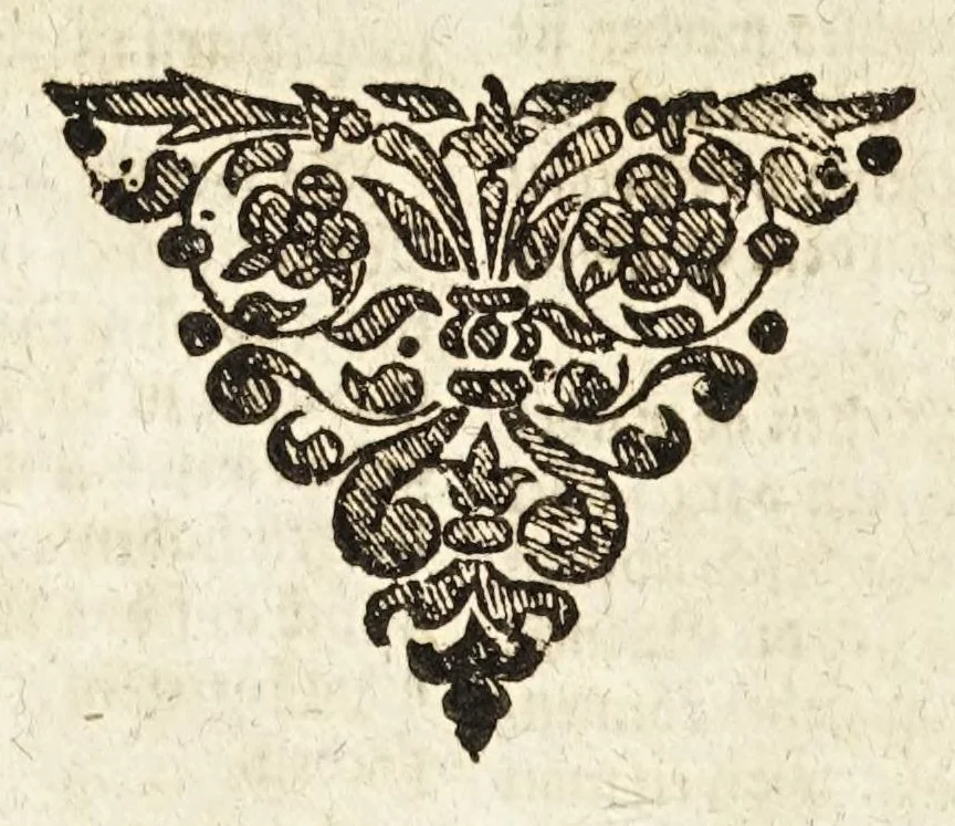 An illustration from Vollkommener ergäntzter Pferdt-Schatz : ausz reiffer Erwegung der Natur, Vernunfft und offtmahligen Erfahrung entstanden ... : Alles in Gestalt einer ausführlichen leicht verständlichen und begreifflichen Theoria und auff dieselbe gegründete Praxis verfasset .., 1664, leaf 88