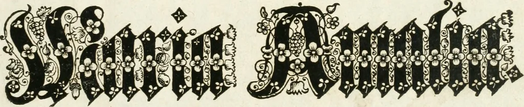 An illustration from Vollständiges Diarium von den merckwürdigsten Begebenheiten die sich vor, in und nach der höchst-beglückten Wahl und Crönung des allerdurchlauchtigsten, grossmächtigsten und unüberwindlichsten Fürsten und Herrn, Herrn Carls des VII., erwehlten Römischen Kaysers ... im gantzen Heil. Röm. Reich, und sonderlich in dieser freyen Reichs- und Wahl-Stadt Franckfurt am Mayn zugetragen : nebst umständlicher Beschreibung der Ein- und Aufzüge, Freuden-Feste, und übrigen feyerlichen Handlungen, sammt vielen Urkunden, Portraits, und andern Kupferstichen : auch einem Anhang von Beylagen, und ausführlichem Register .., 1742, leaf 10