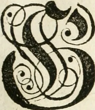 An illustration from Vollständiges Diarium von den merckwürdigsten Begebenheiten die sich vor, in und nach der höchst-beglückten Wahl und Crönung des allerdurchlauchtigsten, grossmächtigsten und unüberwindlichsten Fürsten und Herrn, Herrn Carls des VII., erwehlten Römischen Kaysers ... im gantzen Heil. Röm. Reich, und sonderlich in dieser freyen Reichs- und Wahl-Stadt Franckfurt am Mayn zugetragen : nebst umständlicher Beschreibung der Ein- und Aufzüge, Freuden-Feste, und übrigen feyerlichen Handlungen, sammt vielen Urkunden, Portraits, und andern Kupferstichen : auch einem Anhang von Beylagen, und ausführlichem Register .., 1742, leaf 1008