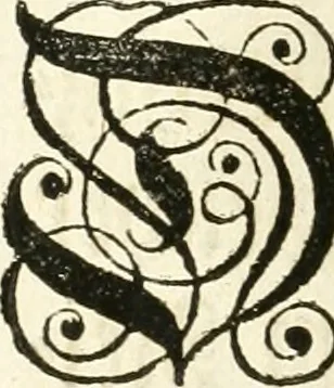 An illustration from Vollständiges Diarium von den merckwürdigsten Begebenheiten die sich vor, in und nach der höchst-beglückten Wahl und Crönung des allerdurchlauchtigsten, grossmächtigsten und unüberwindlichsten Fürsten und Herrn, Herrn Carls des VII., erwehlten Römischen Kaysers ... im gantzen Heil. Röm. Reich, und sonderlich in dieser freyen Reichs- und Wahl-Stadt Franckfurt am Mayn zugetragen : nebst umständlicher Beschreibung der Ein- und Aufzüge, Freuden-Feste, und übrigen feyerlichen Handlungen, sammt vielen Urkunden, Portraits, und andern Kupferstichen : auch einem Anhang von Beylagen, und ausführlichem Register .., 1742, leaf 1009
