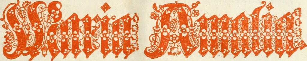 An illustration from Vollständiges Diarium von den merckwürdigsten Begebenheiten die sich vor, in und nach der höchst-beglückten Wahl und Crönung des allerdurchlauchtigsten, grossmächtigsten und unüberwindlichsten Fürsten und Herrn, Herrn Carls des VII., erwehlten Römischen Kaysers ... im gantzen Heil. Röm. Reich, und sonderlich in dieser freyen Reichs- und Wahl-Stadt Franckfurt am Mayn zugetragen : nebst umständlicher Beschreibung der Ein- und Aufzüge, Freuden-Feste, und übrigen feyerlichen Handlungen, sammt vielen Urkunden, Portraits, und andern Kupferstichen : auch einem Anhang von Beylagen, und ausführlichem Register .., 1742, leaf 1038