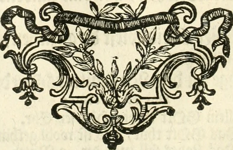 An illustration from Vollständiges Diarium von den merckwürdigsten Begebenheiten die sich vor, in und nach der höchst-beglückten Wahl und Crönung des allerdurchlauchtigsten, grossmächtigsten und unüberwindlichsten Fürsten und Herrn, Herrn Carls des VII., erwehlten Römischen Kaysers ... im gantzen Heil. Röm. Reich, und sonderlich in dieser freyen Reichs- und Wahl-Stadt Franckfurt am Mayn zugetragen : nebst umständlicher Beschreibung der Ein- und Aufzüge, Freuden-Feste, und übrigen feyerlichen Handlungen, sammt vielen Urkunden, Portraits, und andern Kupferstichen : auch einem Anhang von Beylagen, und ausführlichem Register .., 1742, leaf 1073